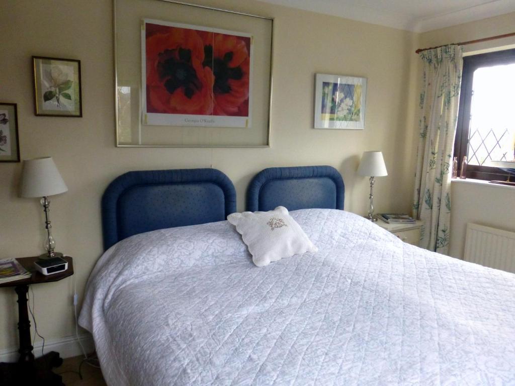 슬란티드웰즈 Ty Carreg B&B 객실 사진